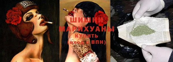 дмт Арсеньев