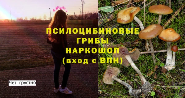 МДПВ Покров