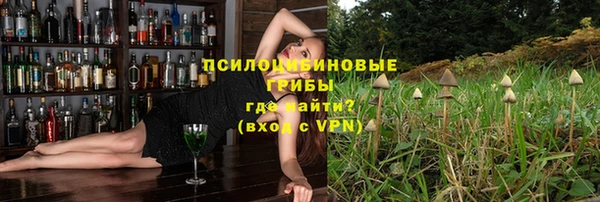 дмт Арсеньев
