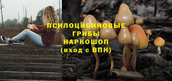 стафф Армянск