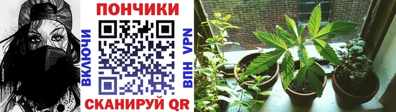 МАРИХУАНА THC 21%  где купить наркоту  Байкальск 